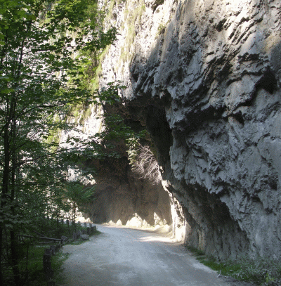 Cheile Oltetului